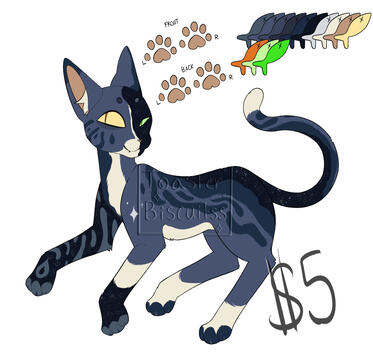 Cloudstream $5 USD